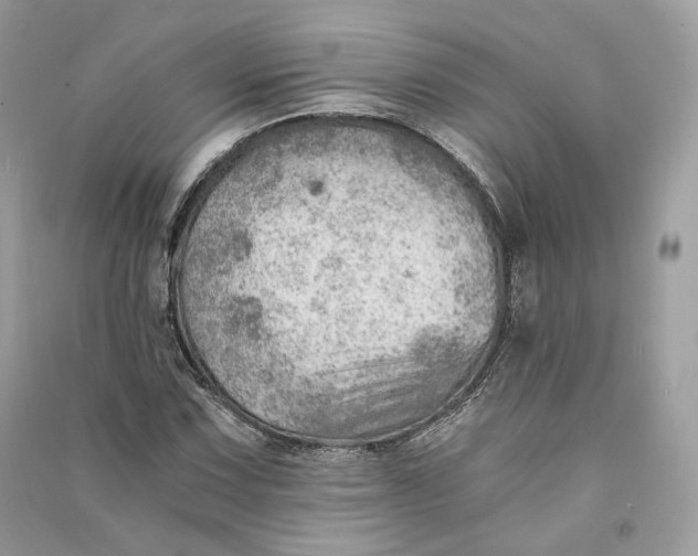 X0000090781067200708101827