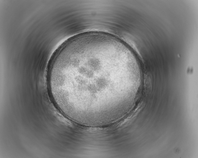 X0000090781068200708101827