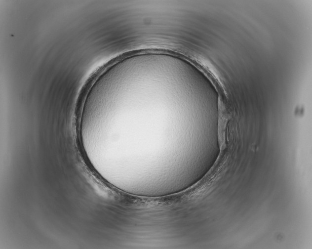 X0000090781072200708101827
