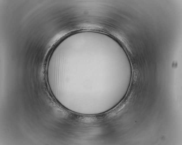 X0000090781074200708101827