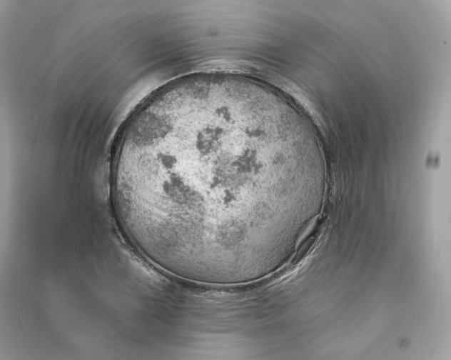 X0000090781075200708101827