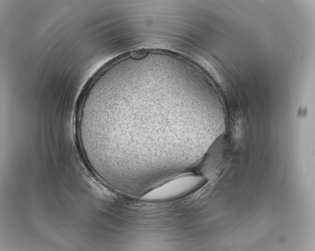 X0000090781076200708101827