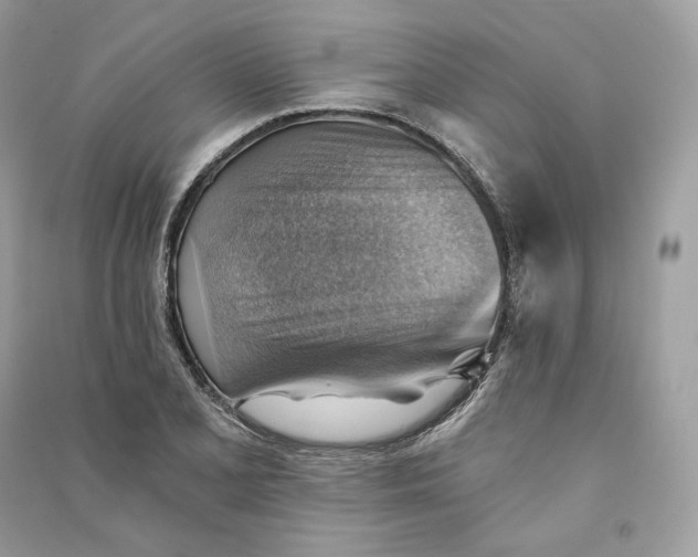 X0000090781077200708101827