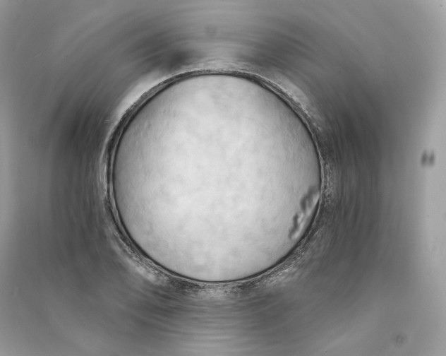 X0000090781078200708101827