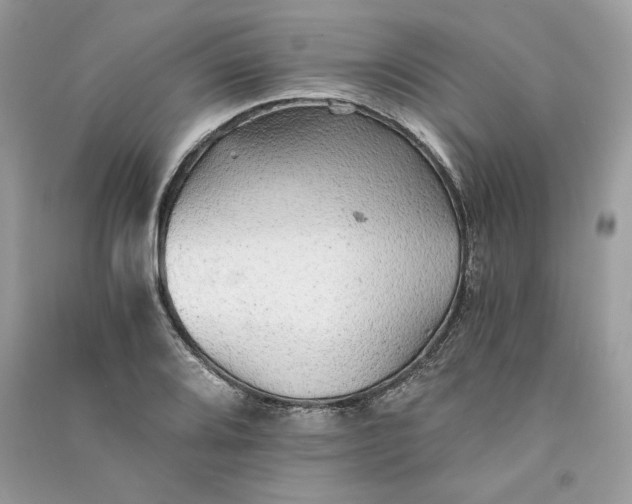 X0000090781080200708101827