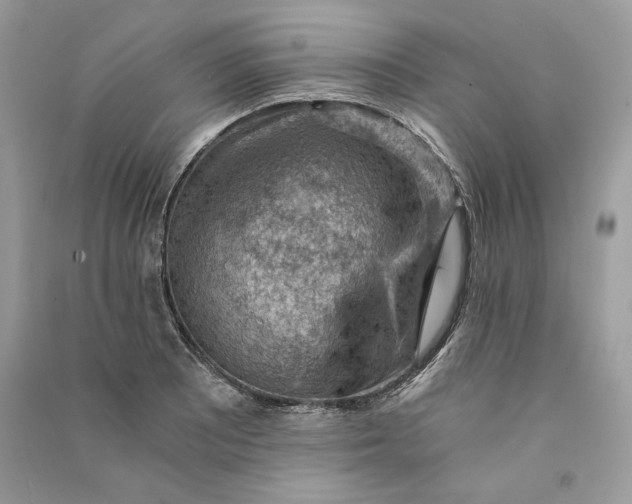 X0000090781081200708101827