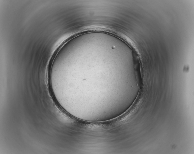 X0000090781082200708101827