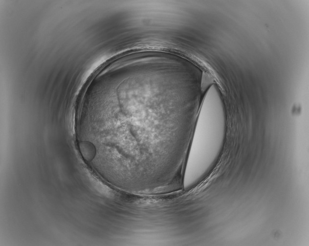 X0000090781083200708101827