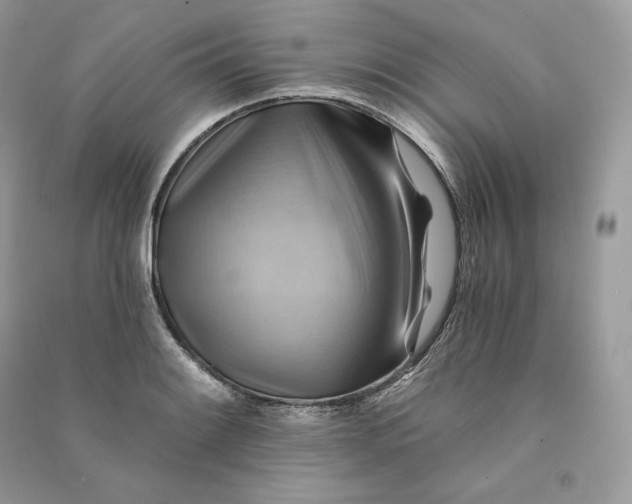 X0000090781084200708101827