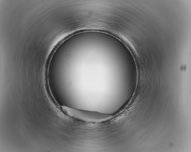 X0000090781085200708101827