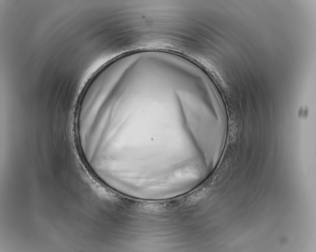 X0000090781086200708101827