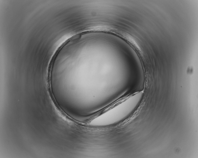 X0000090781087200708101827