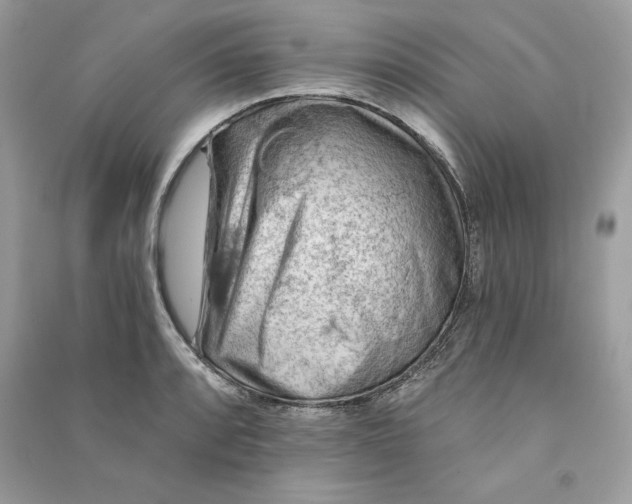 X0000090781088200708101827