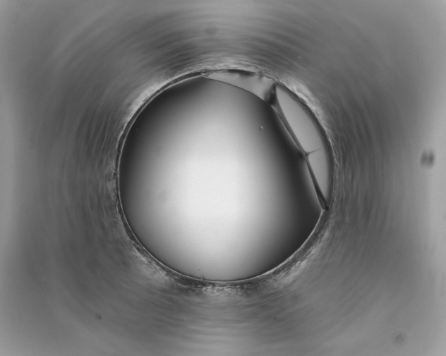 X0000090781089200708101827