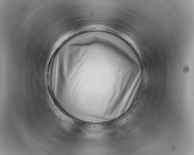 X0000090781090200708101827