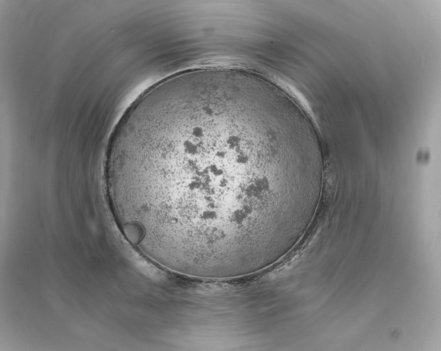 X0000090781091200708101827