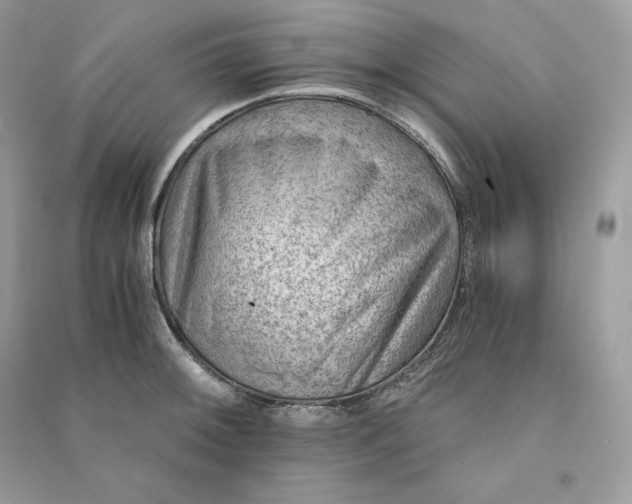 X0000090781092200708101827