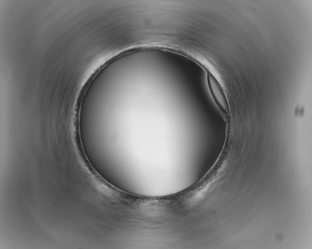 X0000090781093200708101827