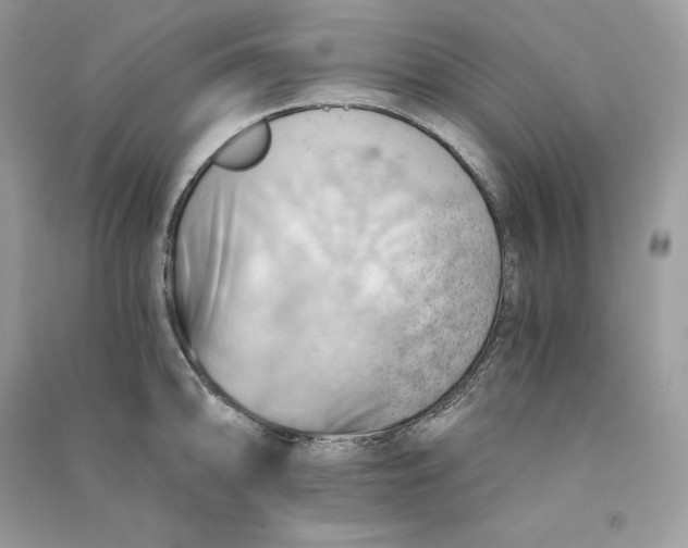 X0000090781094200708101827