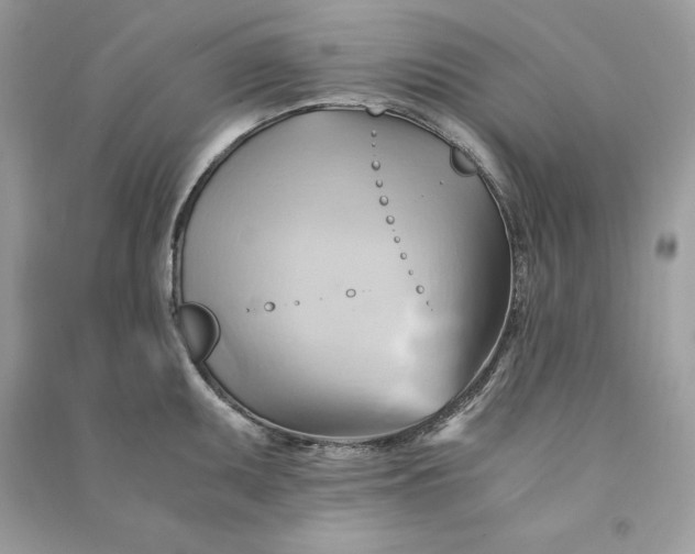X0000090781095200708101827