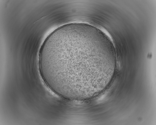 X0000090781096200708101827