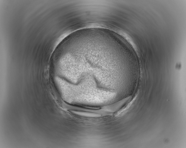 X0000090781097200708101827