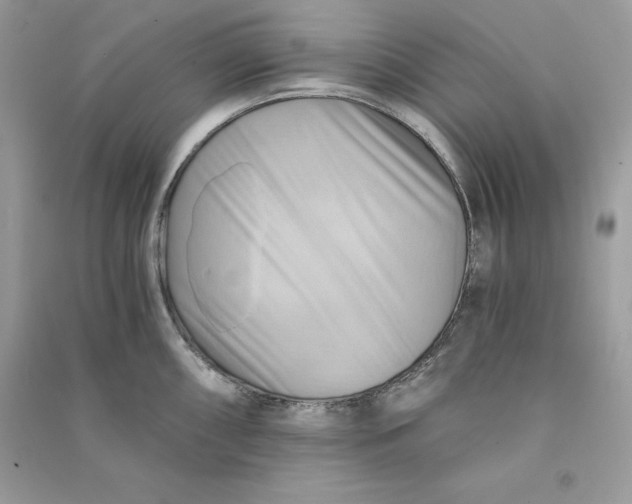 X0000090781098200708101827