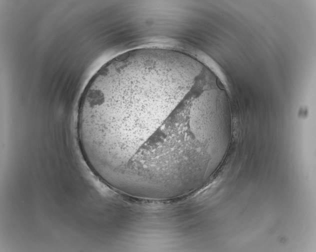 X0000090781099200708101827