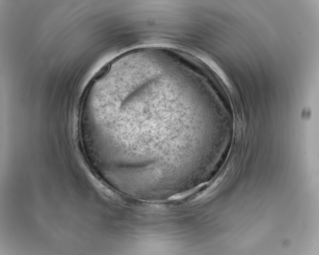 X0000090781101200708101827