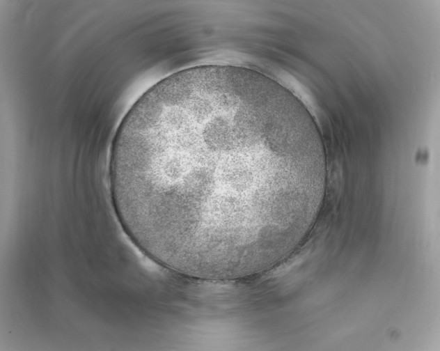 X0000090781103200708101827