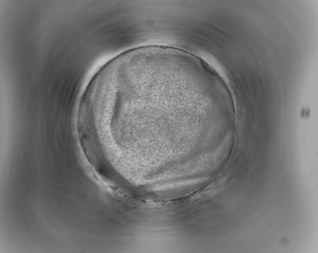 X0000090781104200708101827