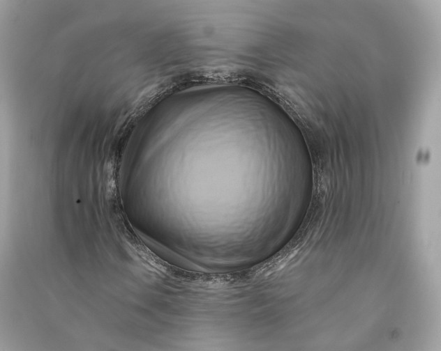 X0000090781106200708101826