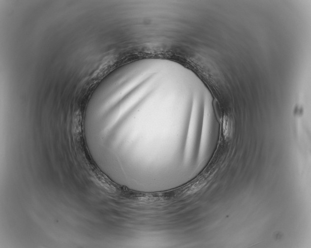 X0000090781107200708101826
