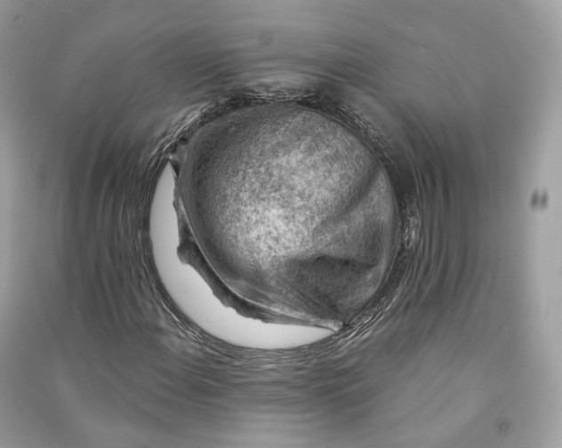 X0000090781108200708101826