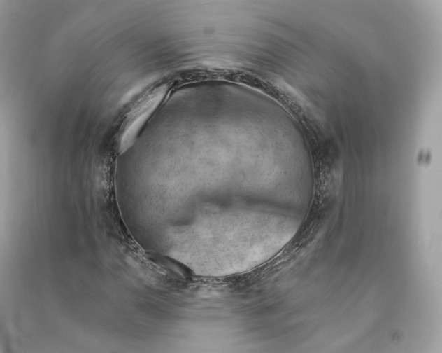 X0000090781110200708101826