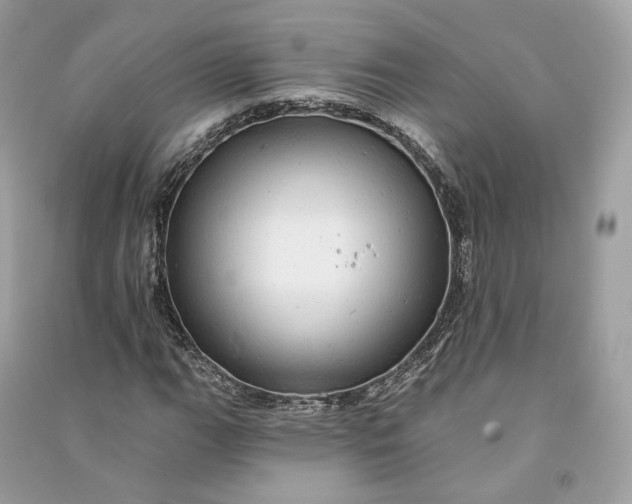 X0000090781111200708101826