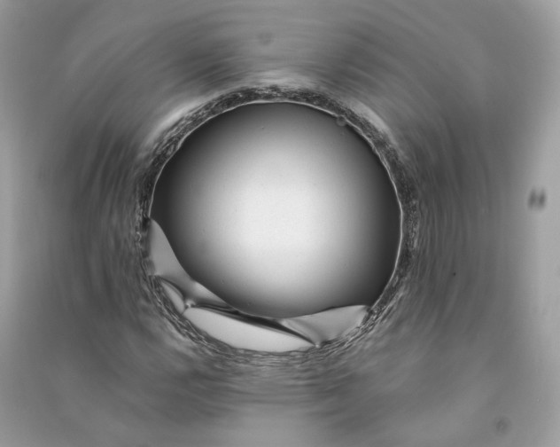X0000090781112200708101826