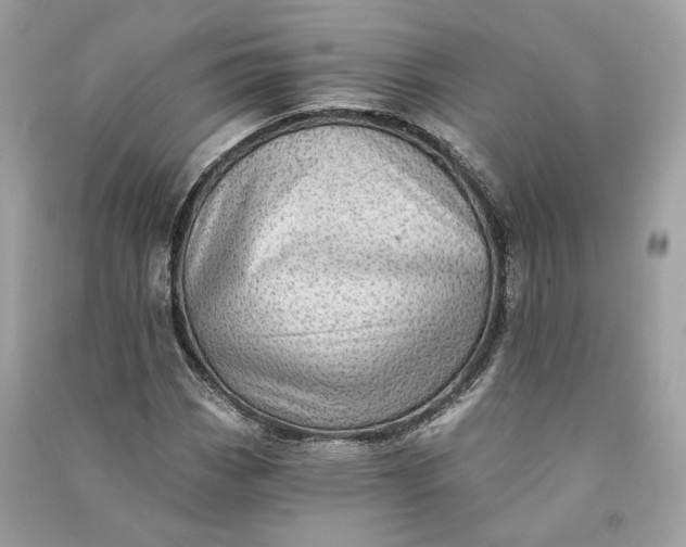 X0000090781113200708101826