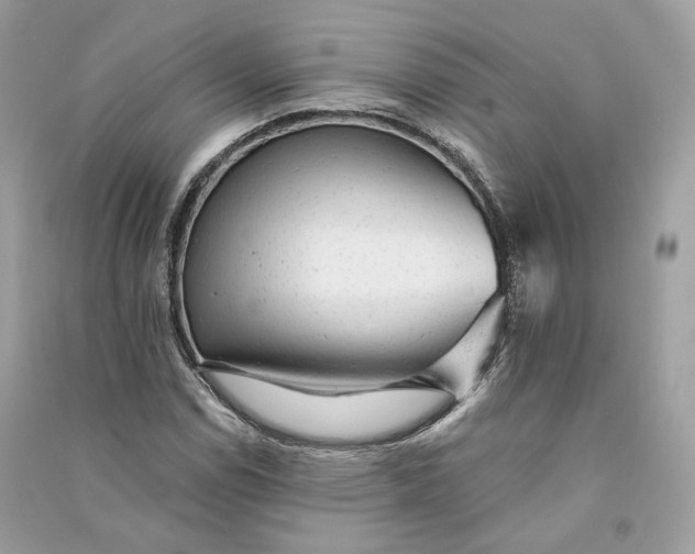X0000090781114200708101826