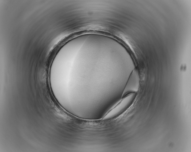 X0000090781115200708101826