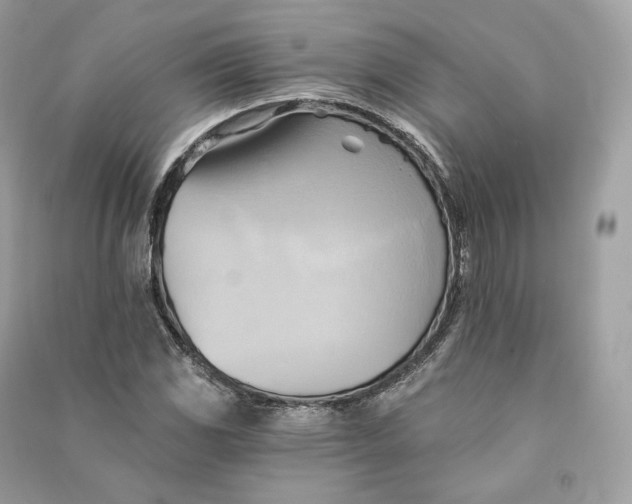 X0000090781117200708101826