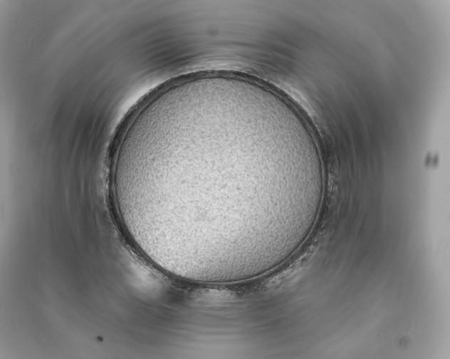 X0000090781119200708101826