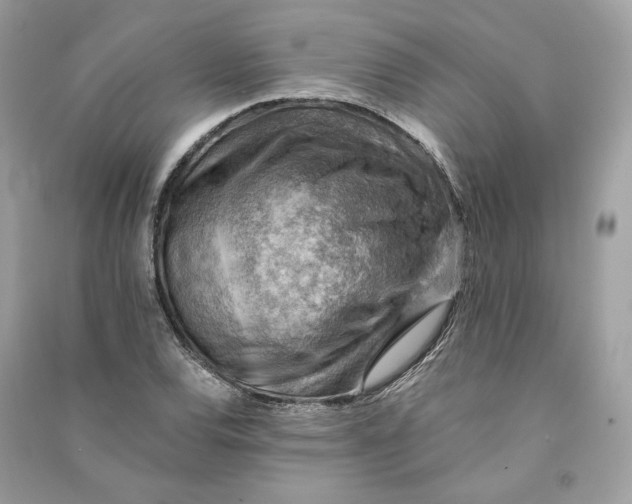 X0000090781120200708101826