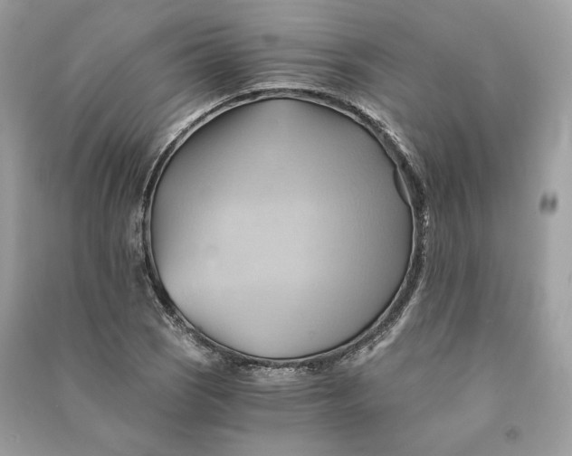 X0000090781121200708101826