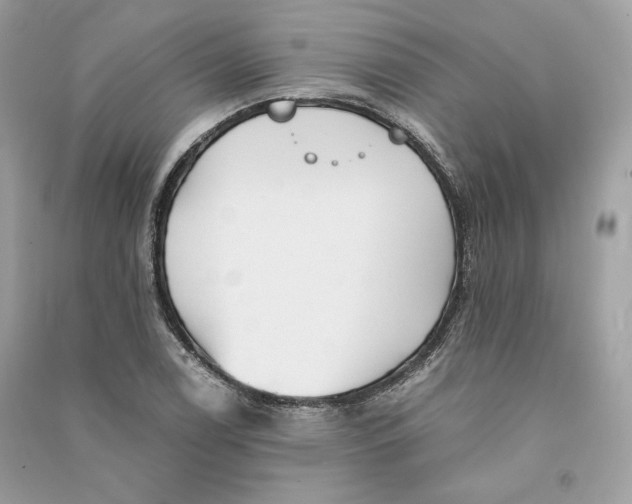 X0000090781122200708101826