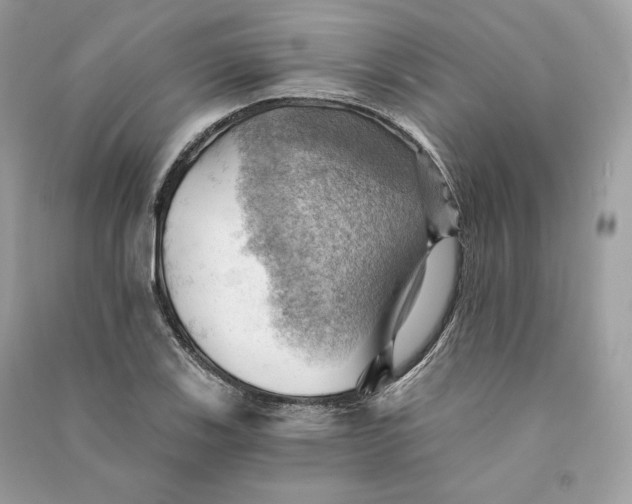 X0000090781123200708101826