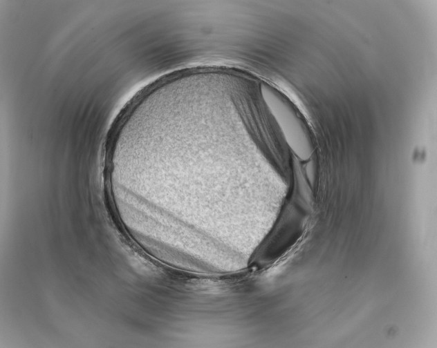 X0000090781124200708101826
