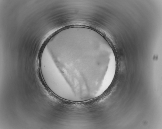X0000090781125200708101826