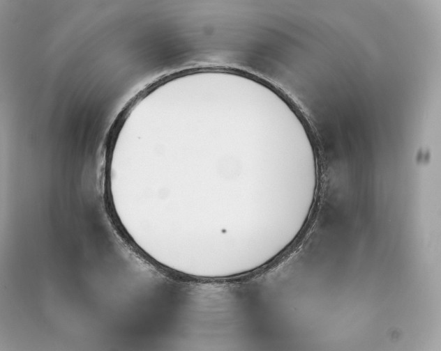 X0000090781126200708101826