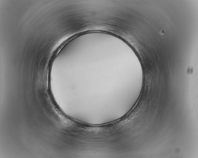 X0000090781127200708101826